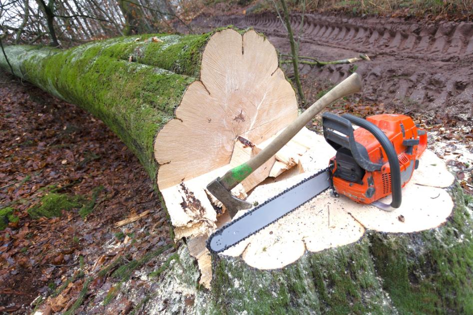 fadöntés Gyál, fadontes gyal